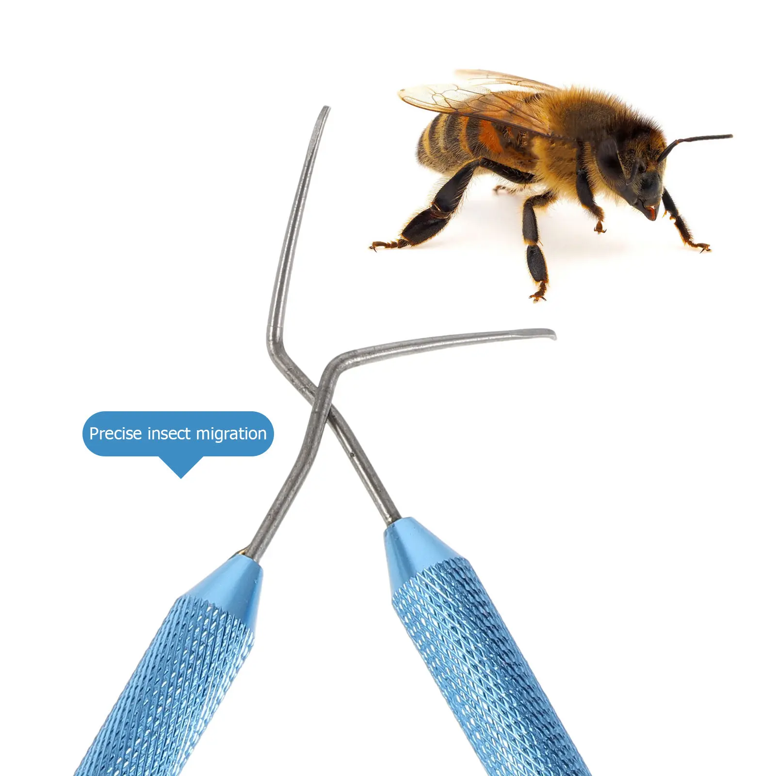 2Pcs Beekeeping Moving Grafting Needles Aluminum Handle Bee Queen Rearing Feeding Equipment Hive Transfer Tool Bee Hive Supplies