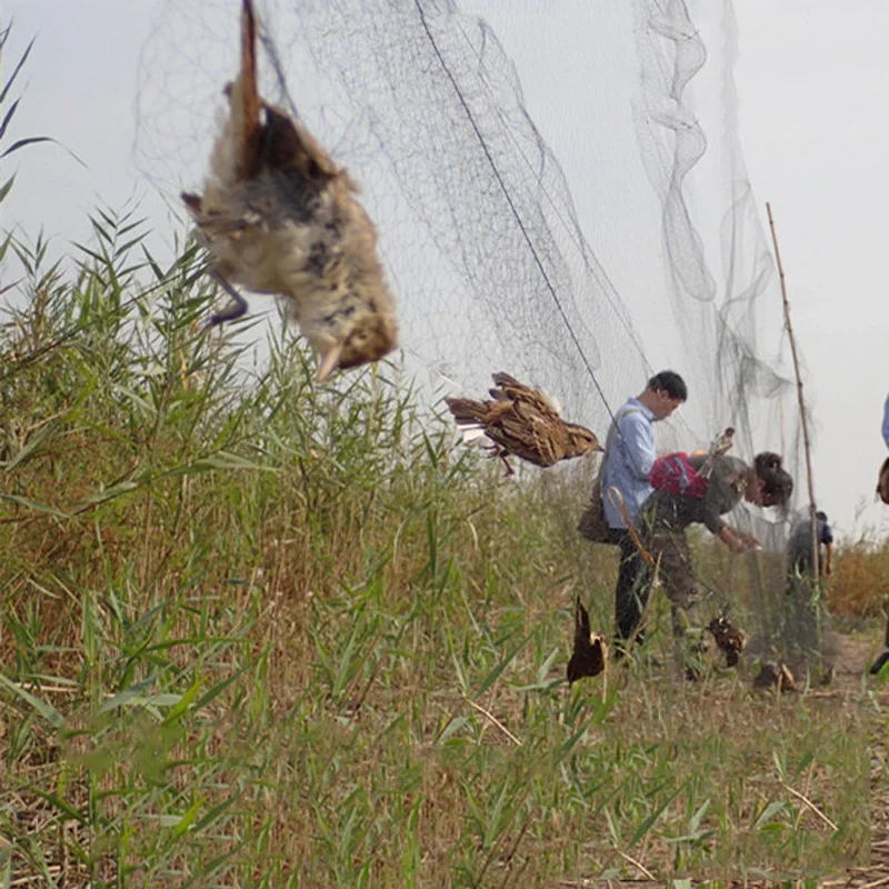 Rede para captura de pássaros, tela protetora antipássaros para controle de pestes, armadilha em rede de pesca para proteção contra pássaros,