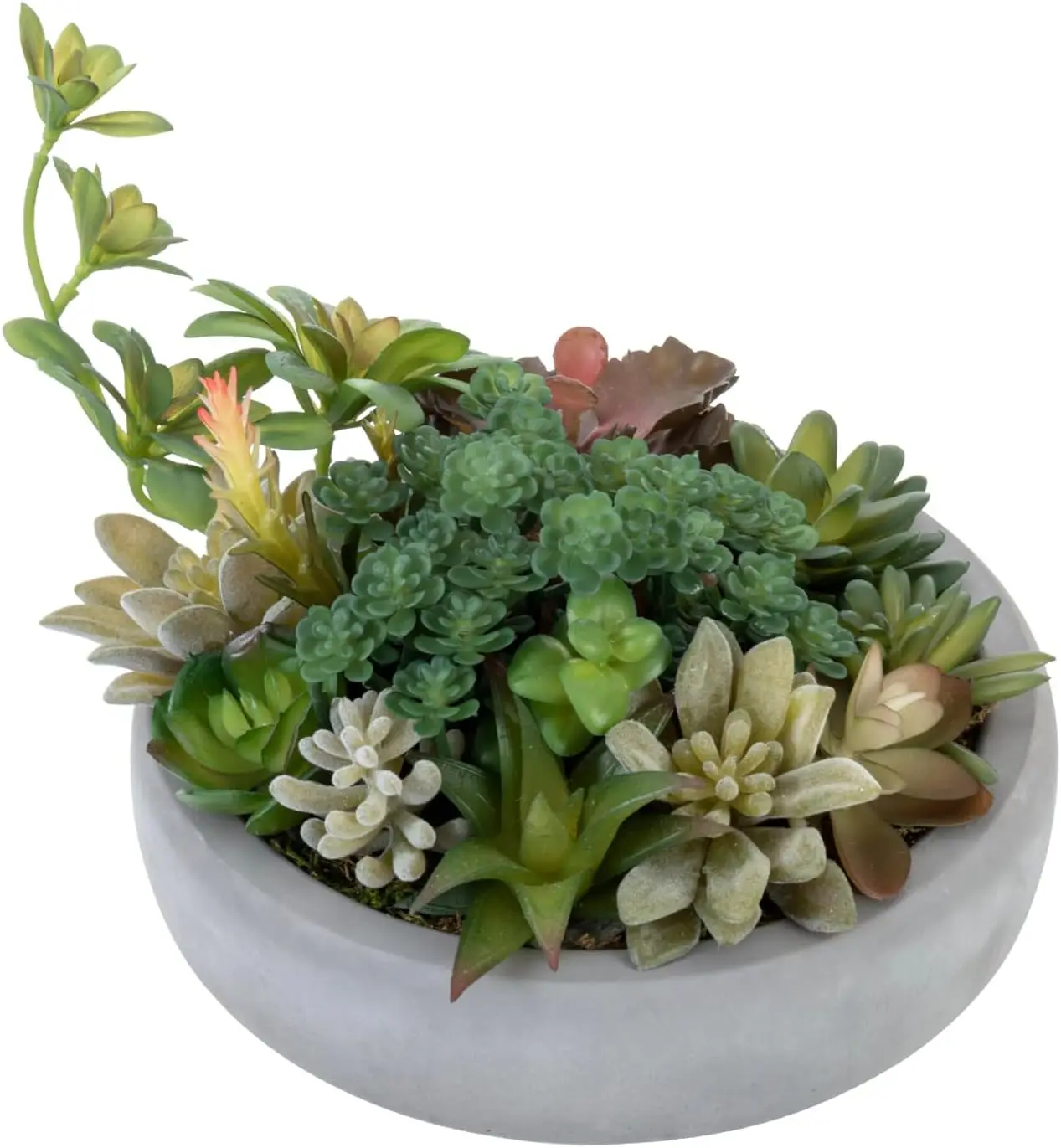 

Assorted Indoor Fake Plants Artificial Succulent Arrangement In Round Gray Cement Planter Pot