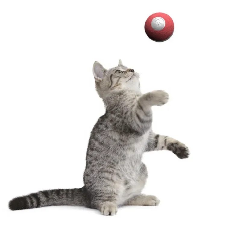 Pet Dog Cat Toy A.I. Programming Robot Automatic Rolling USB Rechargeable Interactive Pet Toy