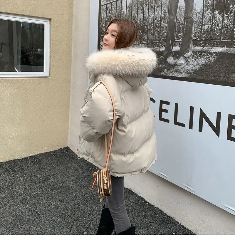 Cotton-padded Jacket New Style Female Cotton-padded Clothes Korean Version Loose Wintertime Thickening Type Short Down Jacket