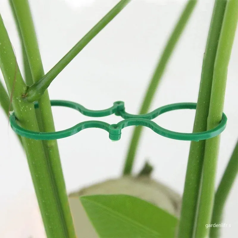 20/50/100Pcs Plastic Garden Vine Strapping Clips Tie Plant Bundled Buckle Ring Garden Tomato Grapevine Hook Plants Support Tool