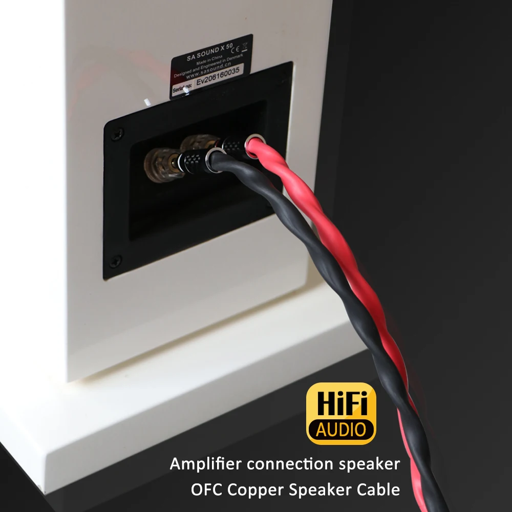 High-End 6N OCC Lautsprecherkabel Kohlefaser Bananenstecker Kanalsplitter, Anschluss des Verstärkers, Heimkino – Detail 9