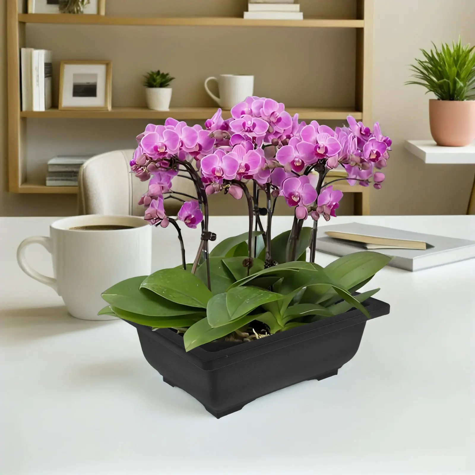 12Pcs Plastic Rectangular Planter Box Vintage Design for Bonsai Plants Indoor Balcony Windowsill Succulent Garden Space