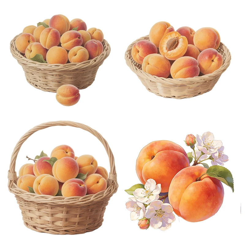 Three Ratels CEE235 Fresh apricot wall stickers for home decoration Kitchen refrigerator decal