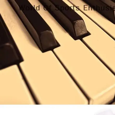 1 صندوق ضبط صيانة آلة وصلة رمح الأظافر أداة إصلاح 1635C رمح مسمار Shenda إبرة صندوق تخزين من البلاستيك أجزاء البيانو #2