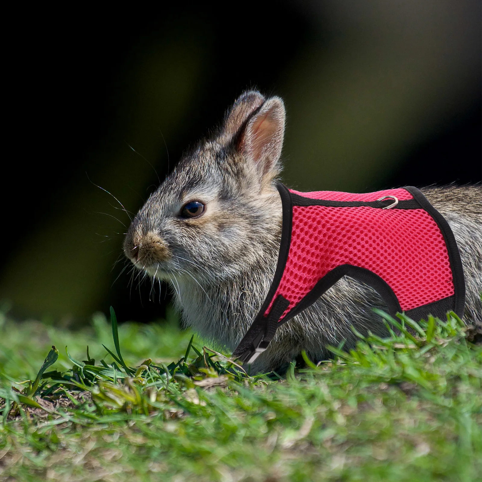 

Premium Pet Harness Leash Set For Rabbit Guinea Pig Hamster Small Animals Comfortable Mesh Vest Traction Rope Outdoor Wearable