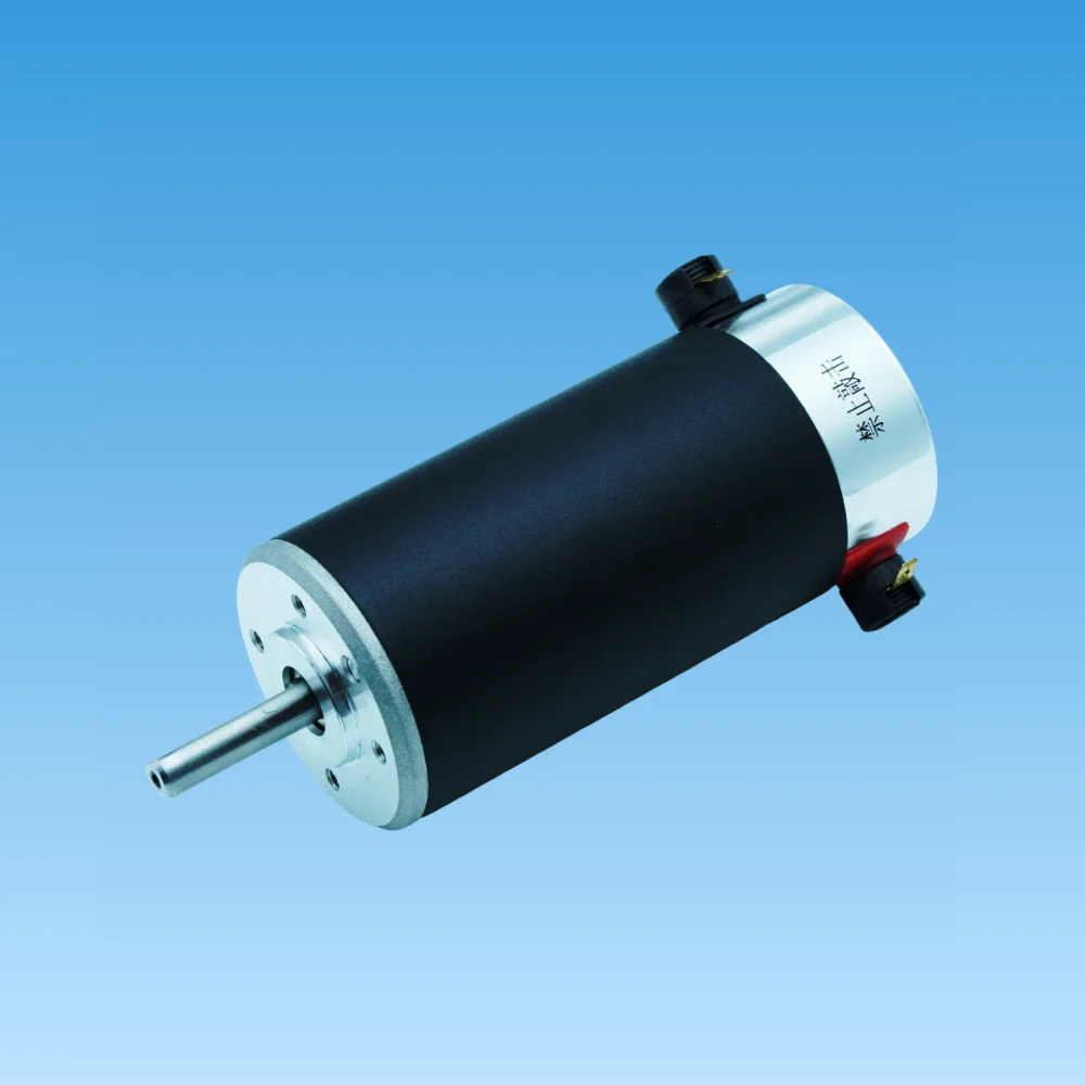 X-Axis Carriage Motor 24V DC Servo Drive for Senyang Control System, Robust Replacement Motor for Wide Format Chinese Branding P