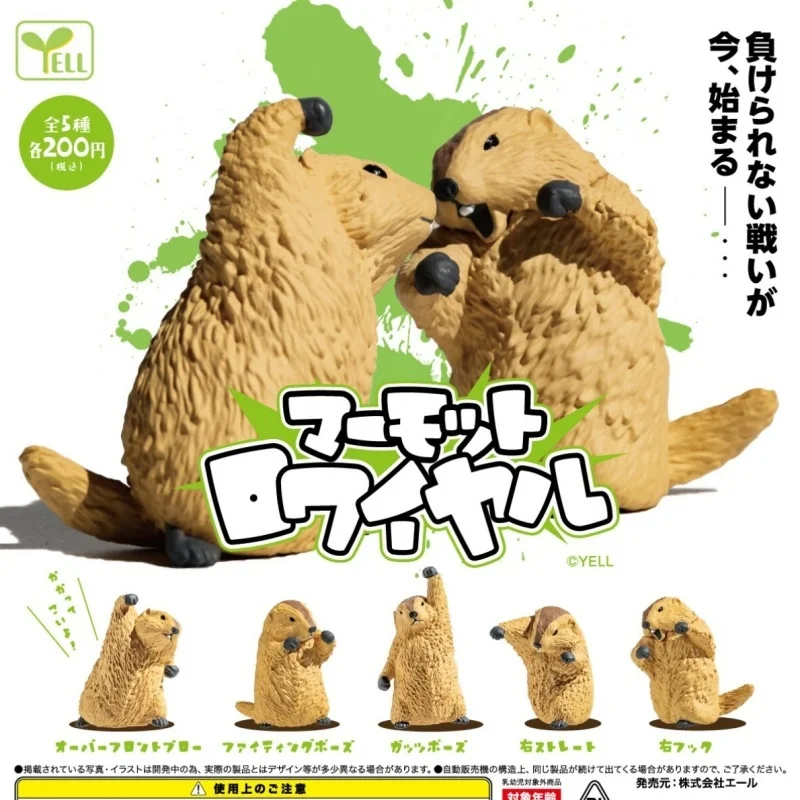 Yell Groundhog Boxing Collectible Figurine Japanese Gashapon Capsule Toy Desktop Decoration Office Ornament Adult Collectors