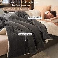 Super Soft Imitation Lambswool Autumn Winter Blanket Double Queen Blankets High-quality Comfortable Milk Fleece Sofa Blanket 2