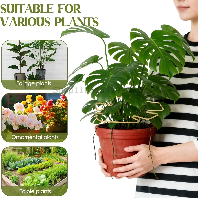 Anti-toppling Plant Support Tutors for Plants  Monstera Multi-purpose Flower Climbing Stem Holder Vine Branch Stabilizer