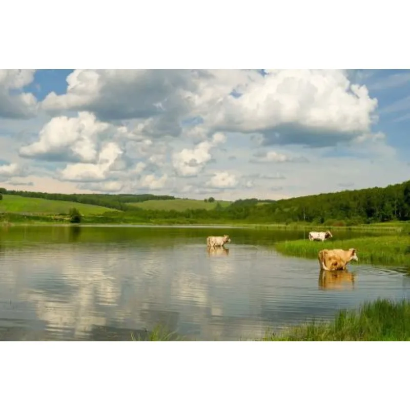 

Бесколлекторный двигатель T-MOTOR P1804 - 3400KV (4S)/2400KV (6S), вал 1.5/5 мм для FPV-дронов 3-4 дюйма, фристайл-дронов, Toothpick, Cinewhoop