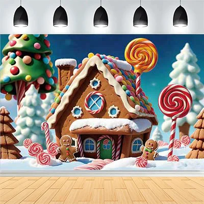 Winter Merry Christmas Festive Windows Photography Background Snowflakes Birthday Party New Year Photo Studio Backdrops CD-14