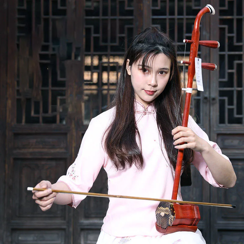 Rosewood Erhu Beginner Portable Performance Urheen Tradition Professional Practice Erhu Chinese Classics Musical Instruments
