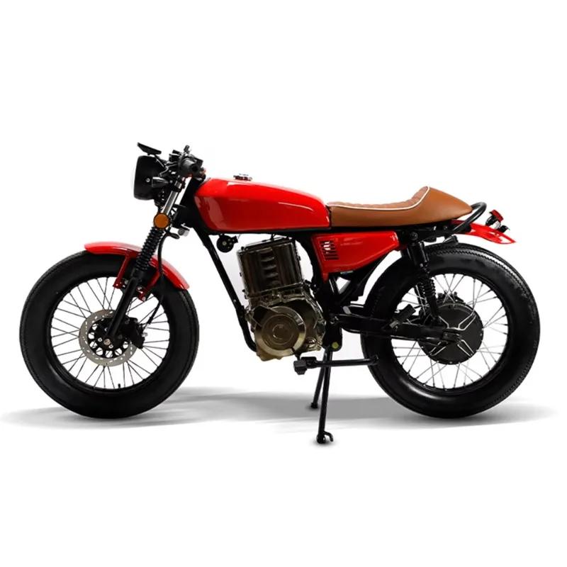 

2025 Newest China Manufacturer Wholesale 1800W Three-speed Transmission High Speed Electric Bike Motorcycle