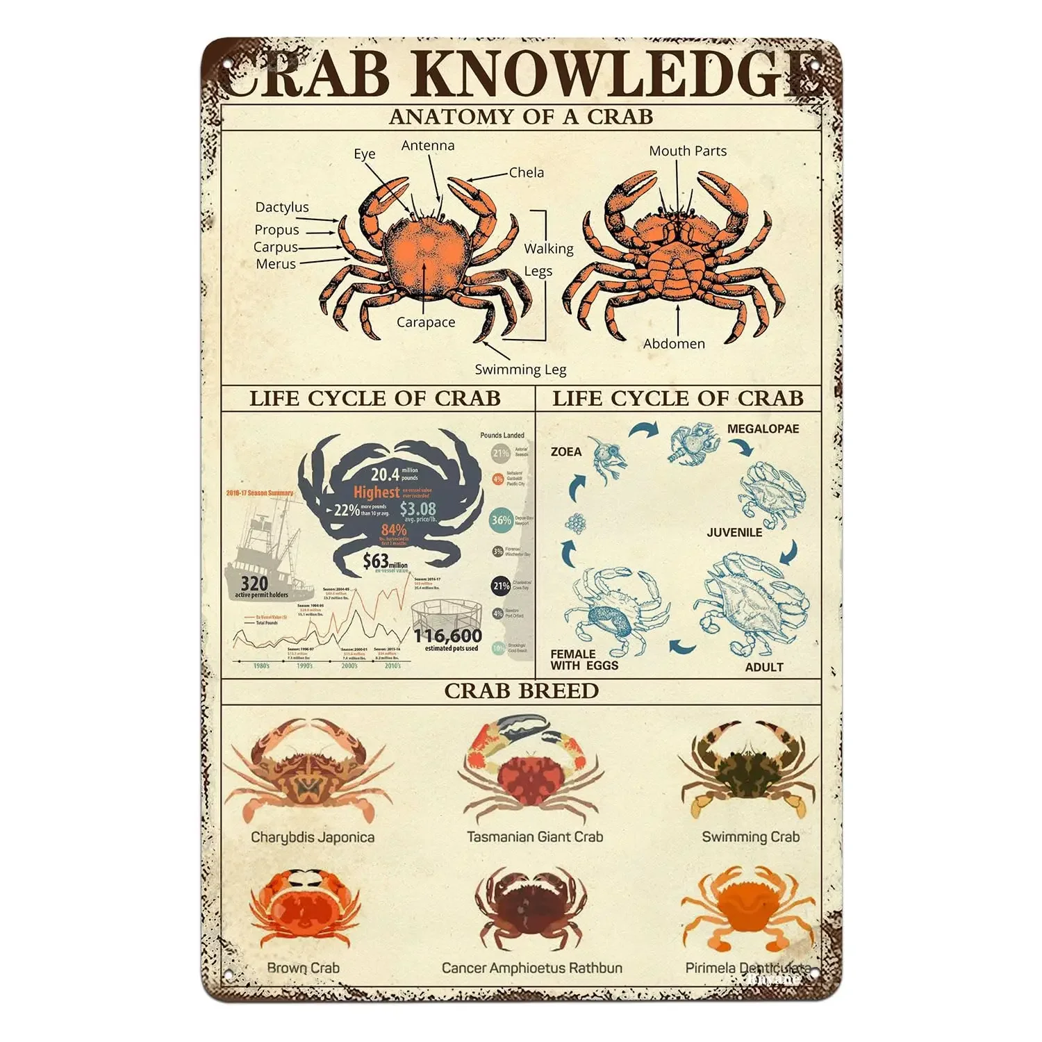 Crab Knowledge Tin Sign Funny Metal Sign Vintage Home Kitchen Farmhouse Bar Cafe Club Wall Decor Art Sign 8x12 Inches