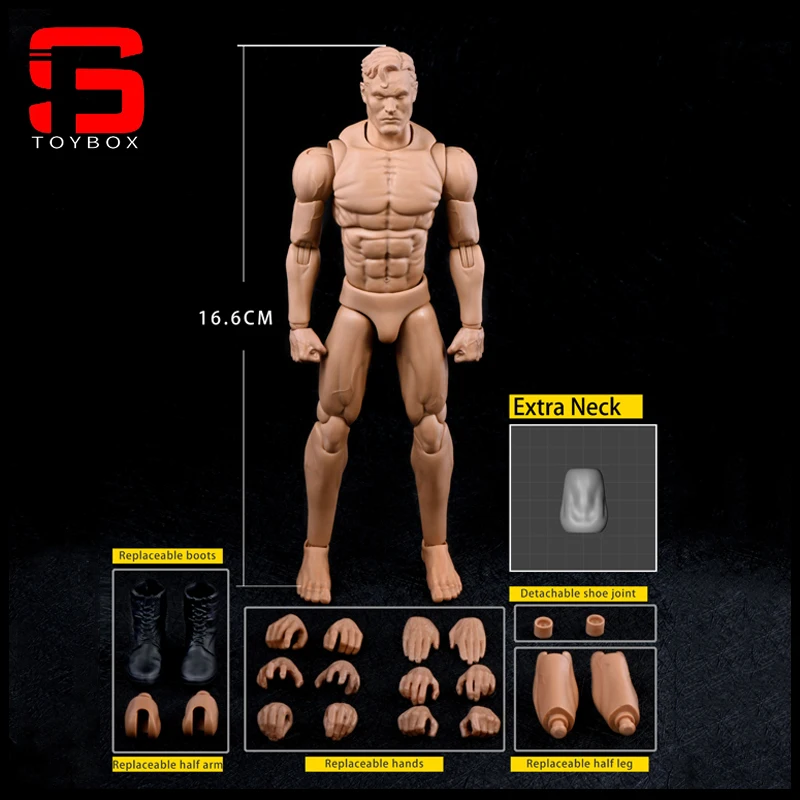 

NwToys NW002 1/12 Scale Muscle Joint Body 16.6cm Male Painting Practice Style Super Flexible Action Figure Body Dolls