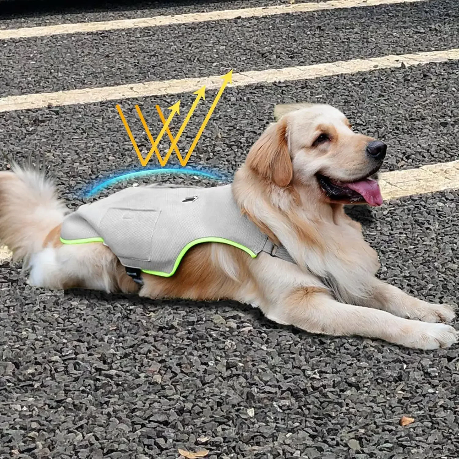 Harnais rafraîchissant pour chien avec poche à glace amovible, veste évaporative réfléchissante et réglable anti-chaleur pour l'été