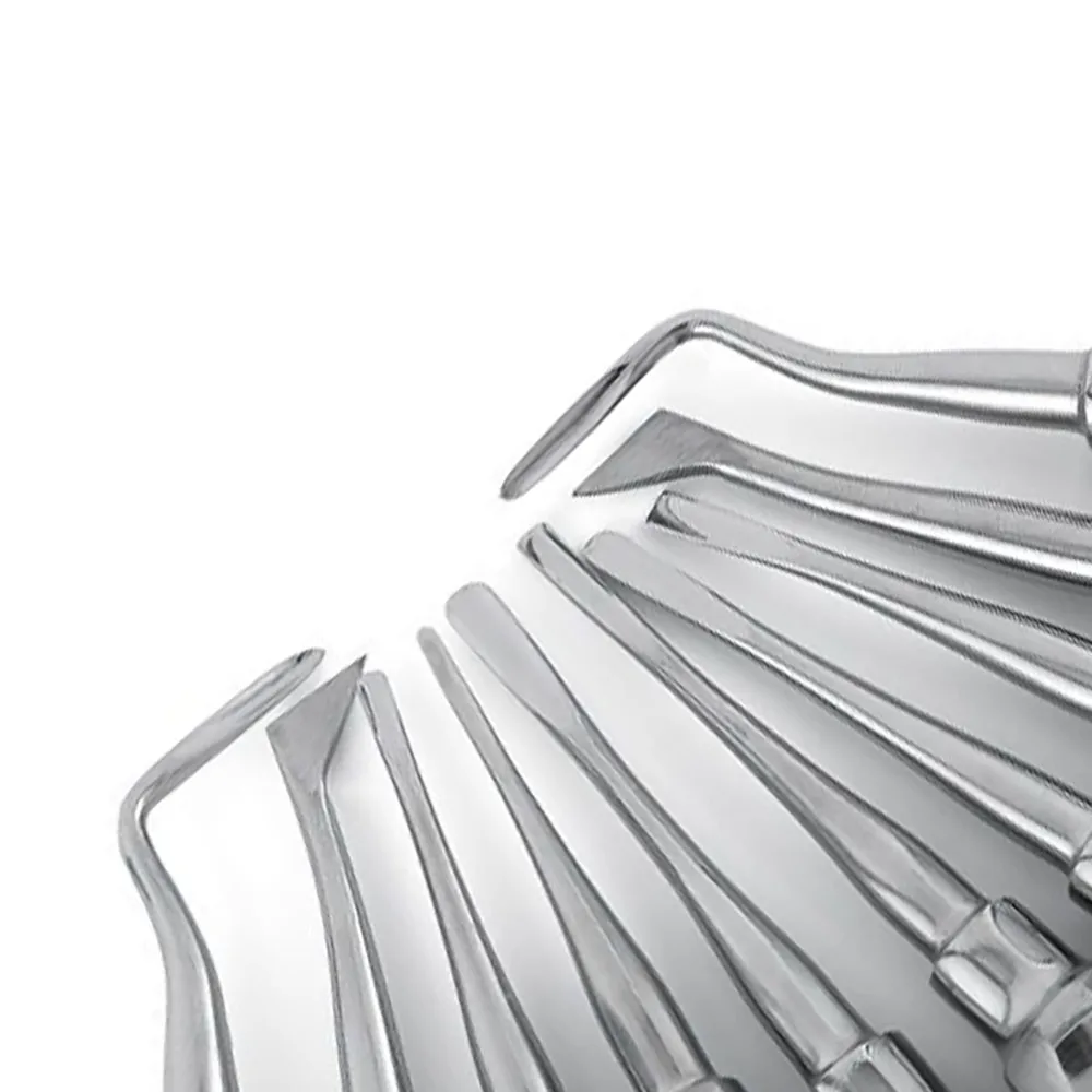 Kit de elevador de extração de aço inoxidável dental de 10 pces-elevadores de raiz reta e curvada para dentistas e laboratórios dentários