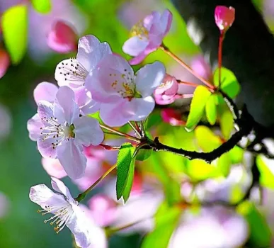 20 قطعة مغلفات فقاعة حقيبة مقاوم للماء رغوة بيضاء فقاعة البريدية أكياس مغلف الشحن رغوة الذاتي ختم أكياس التعبئة حجم كبير #1