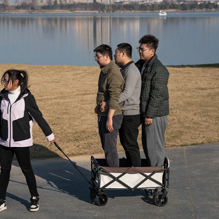 Wagon de Camping pliant robuste avec roues, chariot utilitaire d'extérieur Portable pour pique-nique de jardin de plage