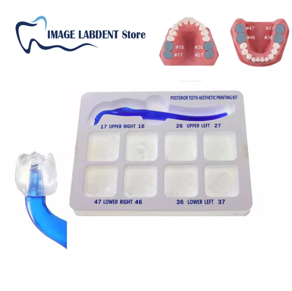 Dental Orthodontic Posterior Teeth Aesthetic Printing Kit Printing Restoration Teeth Quick Built Dentistry tools Material