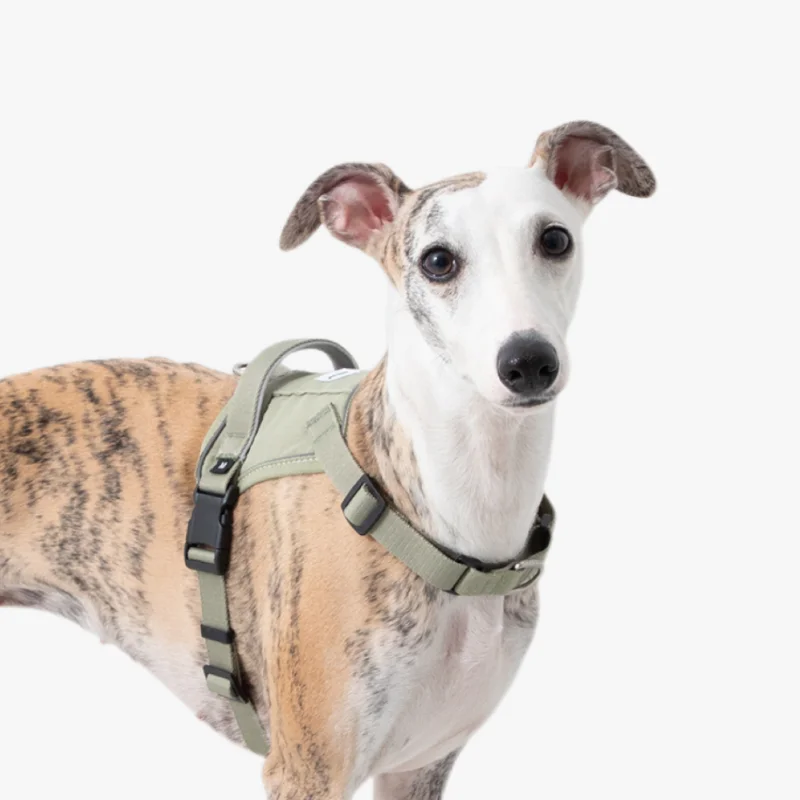 

Quick-On Dog Harness, No-Choke Anti-Pull Vest, Front & Back Clip, hide Tracker Pocket, Reflective, Breathable