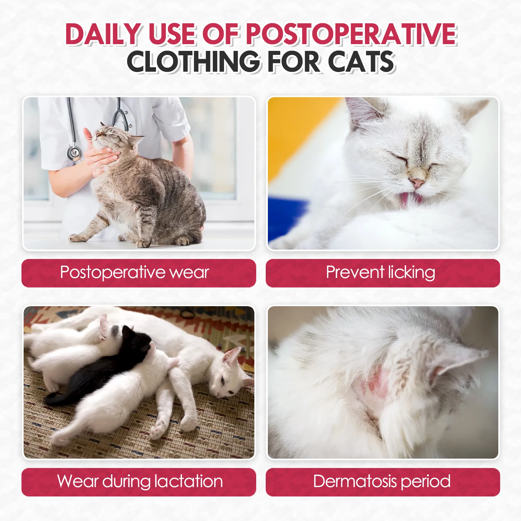 Combinaison de protection pour chat après opération chirurgicale_voghion.com
