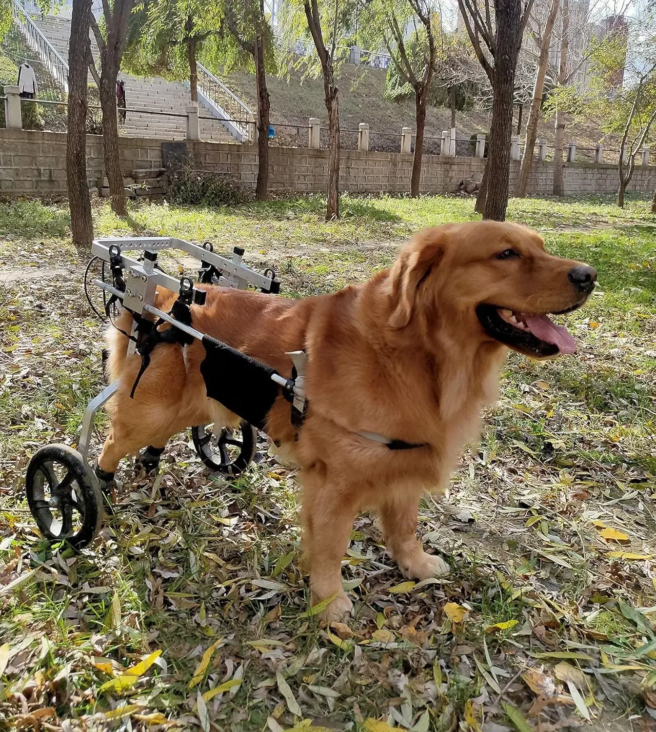 large used for dogs mobility big 60 100 lbs extra rear leg back legs front sale 70-180 pounds dog