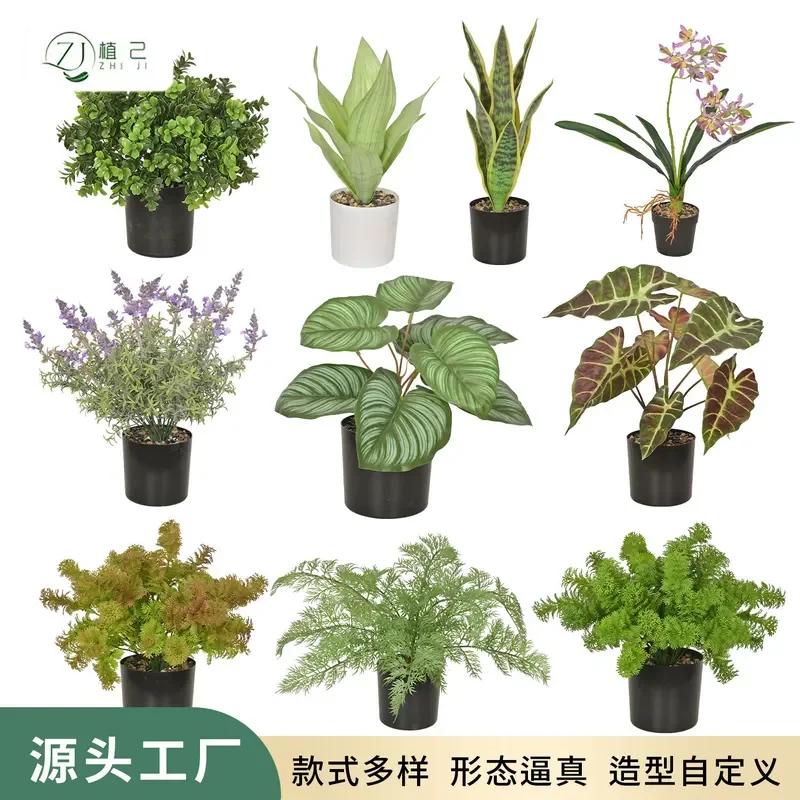 Simulation Green Plant Lavender Tiger Pilan Stone Lion Grass Potted Ornament Interior Decoration Landscaping Colored Taro