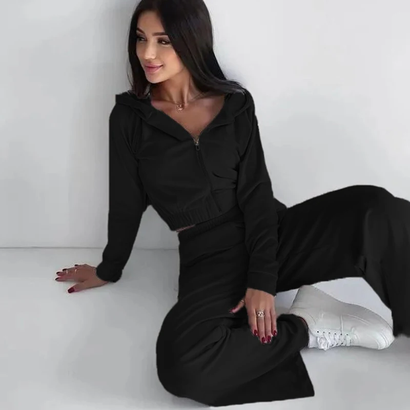 Bluza Spodnie Zestaw Kobiety Aksamitny Sport Rekreacyjny Polarowy Kombinezon Damski Dres Jogging Dwuczęściowy Zestaw Strój Crop Top Welurowe