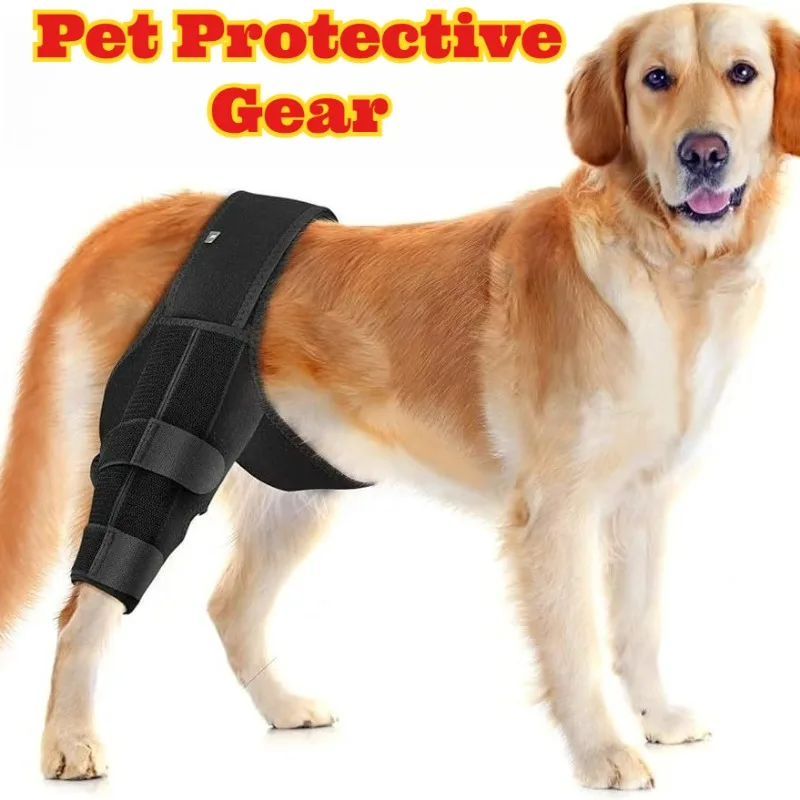 Dog Rear Leg Support Brace Knee Wrap Injured Dogs Post Surgery Recovery Joint Pain Relief Adjustable Reusable Canine Hind Leg