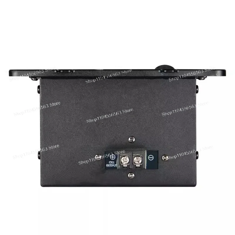 ​​1000W 2-Channel DSP Power Amplifier Module, Class D Digital Active PA System for Full-Range Live Sound Equipment