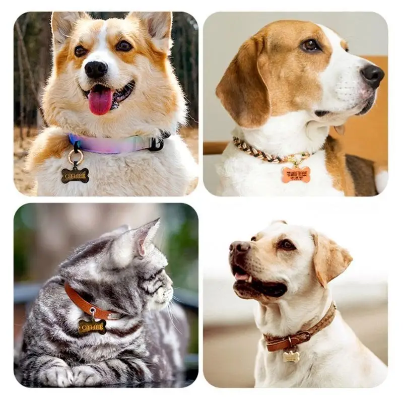 

31BB Diy Pet Dog 3-link Bone Label Glues Mold Silicone Epoxy Resin Ornament Mold DIY Keychain Pendant Jewelry for Gift Craft