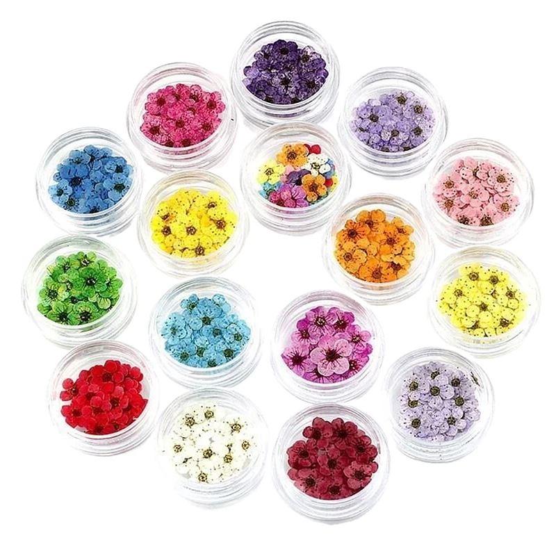 20pcs/box Pressed Dried Narcissus Plum Blossom Flower For Epoxy Resin Jewelry Making Nail Art Craft DIY Accessories