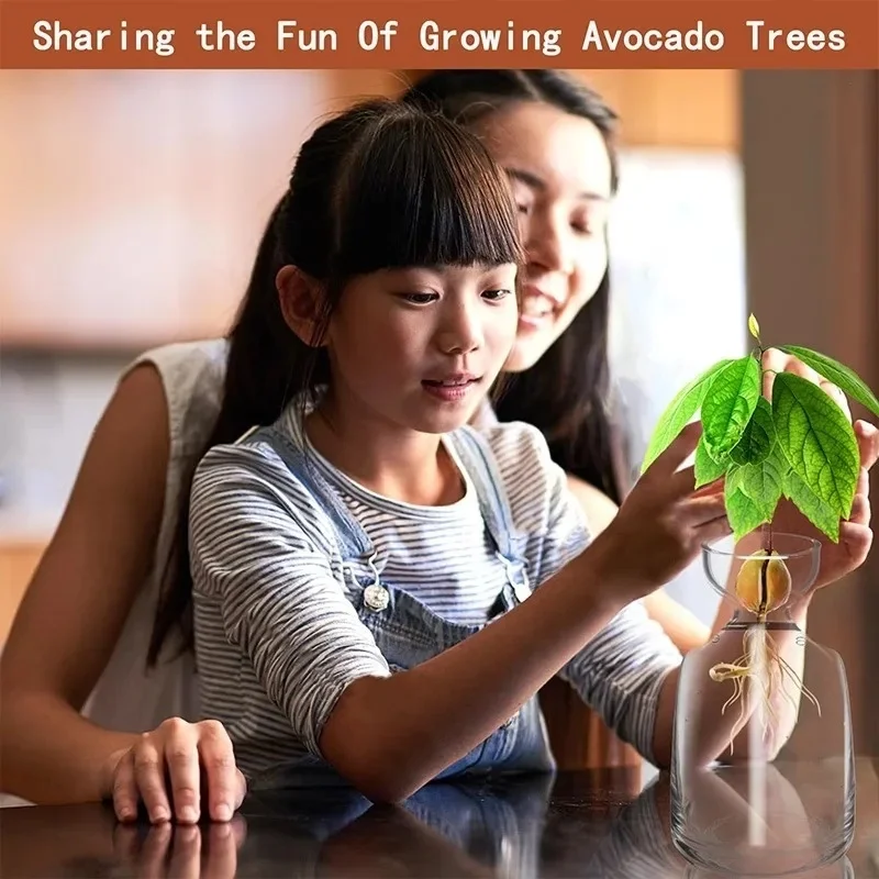 2026 NEW Avocado Seed Starter Vase - Grow Your Own Avocado Tree Unique Glass Planting Pot For Gardening Lovers Start Your Green