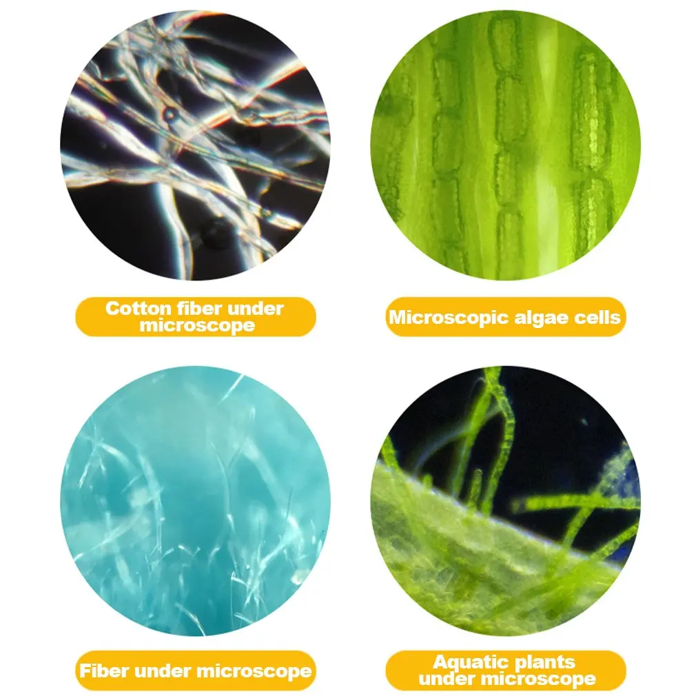 New 60-120X Kids Microscope LED Light 60X-120X Home School Biological Science Educational Tool Mini Portable Handheld Microscope