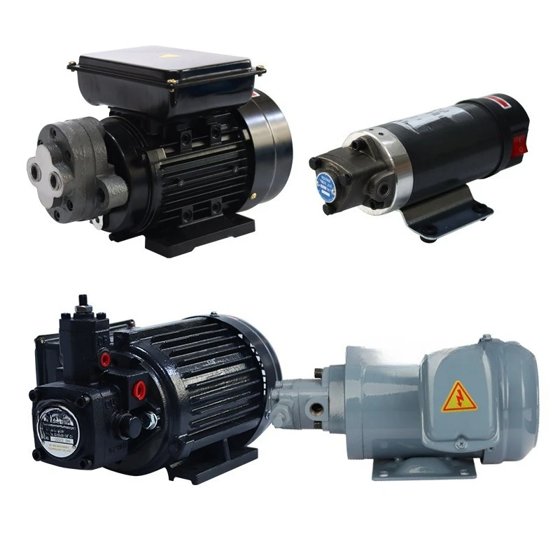 

Electric Suction High Viscosity Self-priming Gear Pump 220V Variable Vane Diesel Engine Edible Oil Hydraulic Oil Pump