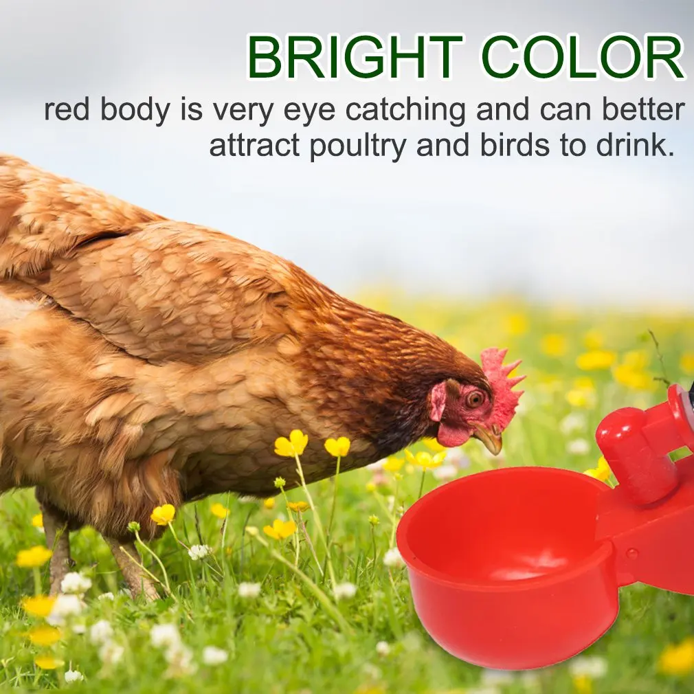 Automatic Chicken Water Cup Waterer Bowl Kit Farm Coop Poultry Waterer Drinking Water Feeder for Chicks Duck Goose Turkey Quail