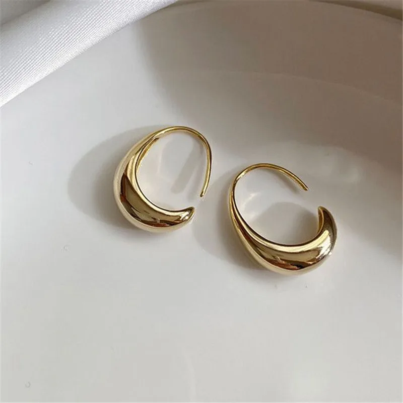 925 Silver Needle Geometric Oval Hoop Earrings For Women Party Wedding Punk Jewelry Gift e551