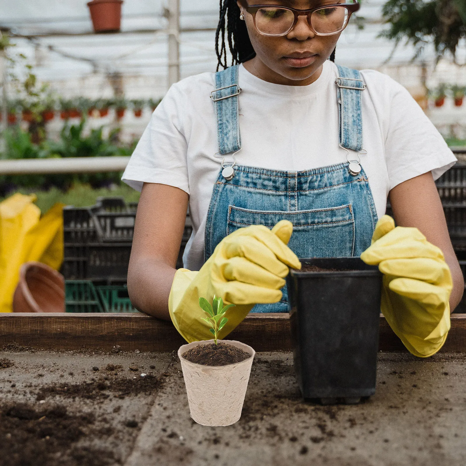 

100Pcs Peat Nursery Cups Biodegradable Starter Pots Seedling Germination Trays Organic Degradable Gardening Pulp Disk