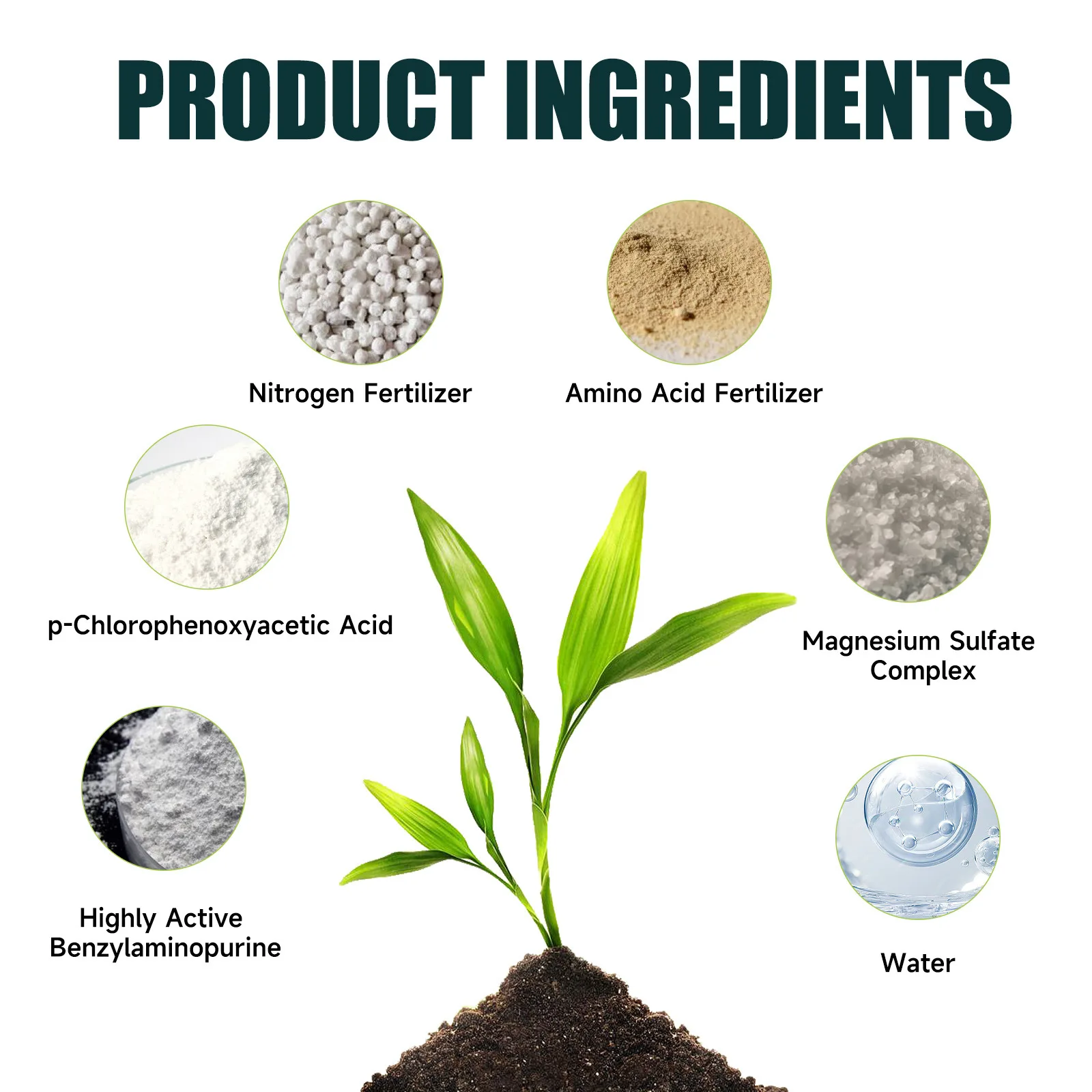 Organic Plant Nutrient Liquid for Home Gardening Enthusiasts Water Soluble Fertilizer 30ml for Indoor Potted Flowers Lawn