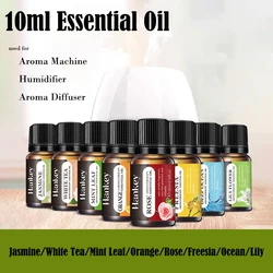 Óleo Essencial Puro para Aromaterapia, Difusor de Aromaterapia, Vela Perfumada, Ambientador, Jasmim, Rosa, Oceano, 10ml, DIY