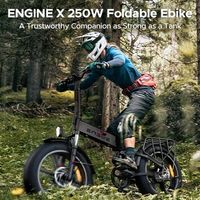 Electric Bike ENGWE Engine X 48V 13Ah Battery 250W 20*4.0 Tire 100KM Range Max Speed 25 km/h Full Suspension Foldable E-bike