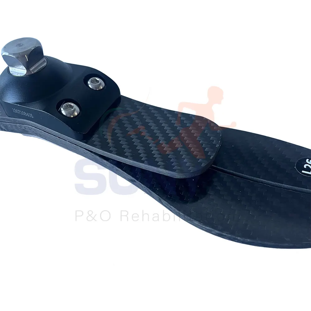 Artificial Limbs Legs BK Prosthetics for Above Knee Amputee Prosthetic Leg  Foot Low Ankle Carbon Fibre Artificial foot