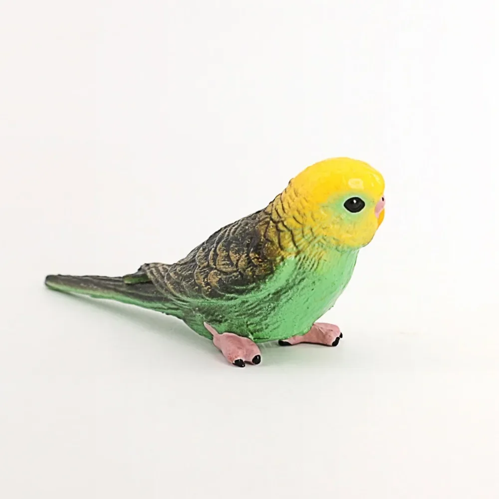 Simulatie Wilde Vogel Dieren Speelgoed Schattig Plastic Tijgerhuid Papegaai Model Actiefiguren Miniatuur Collectie Ornament Voor Kinderen