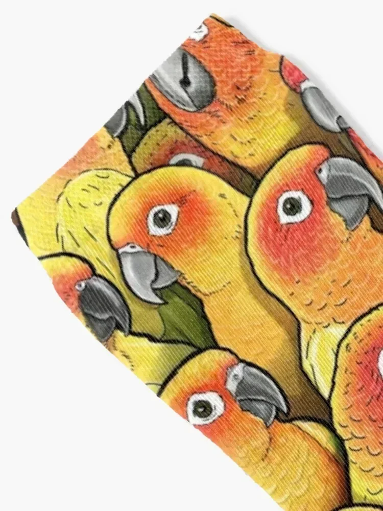 جوارب Sun Conures لكرة القدم مضادة للانزلاق ملونة جمالية للرجال والنساء