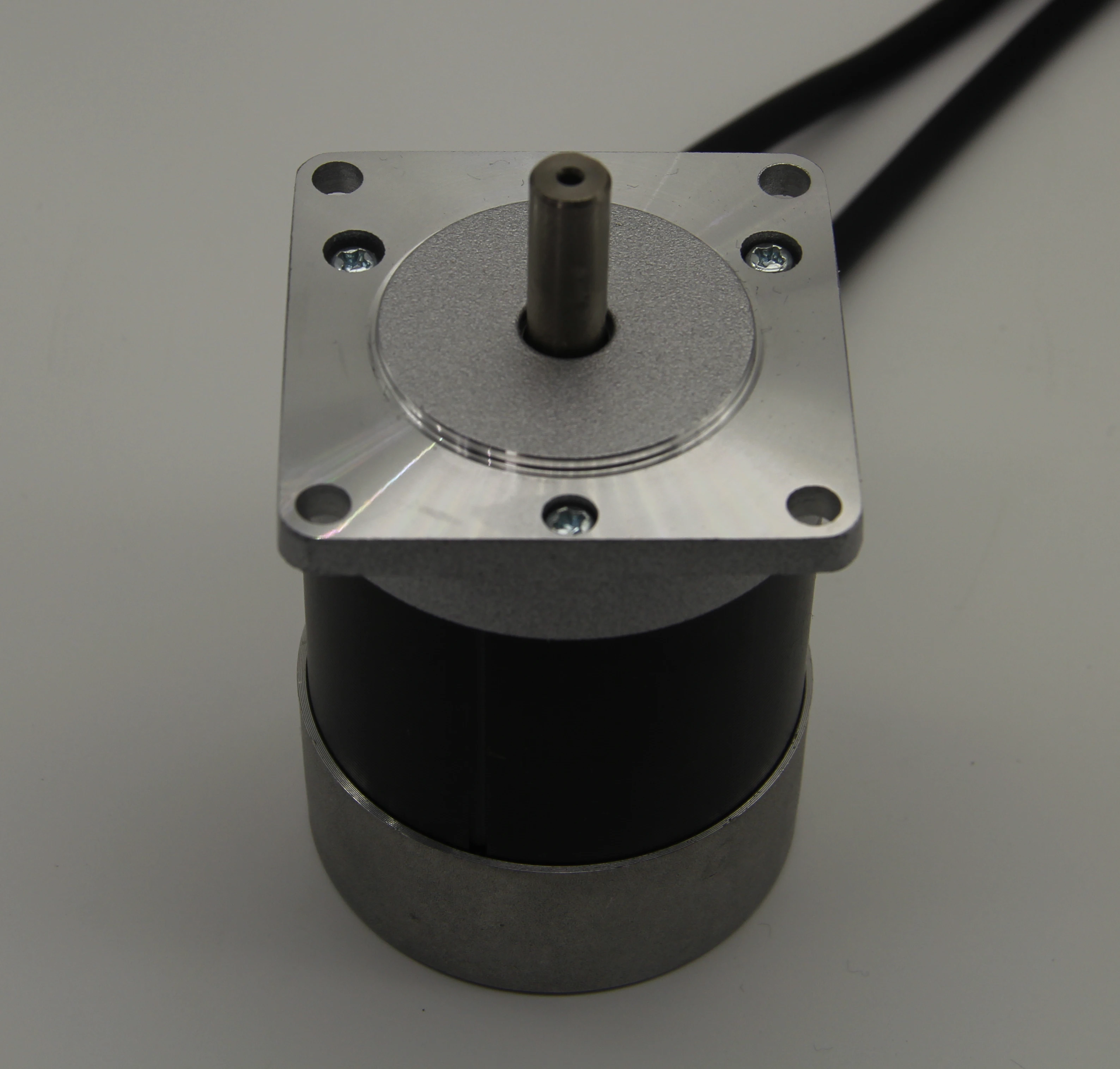 24VDC/48VDC 3000 RPM Alto Torque 100W BLDC