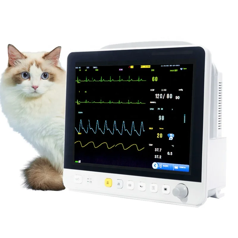 ODM OEM Veterinary CE Veterinary Multi-Parameter , Pet Clinic, Animal Hospital 1 Year Warranty GB/T1883
