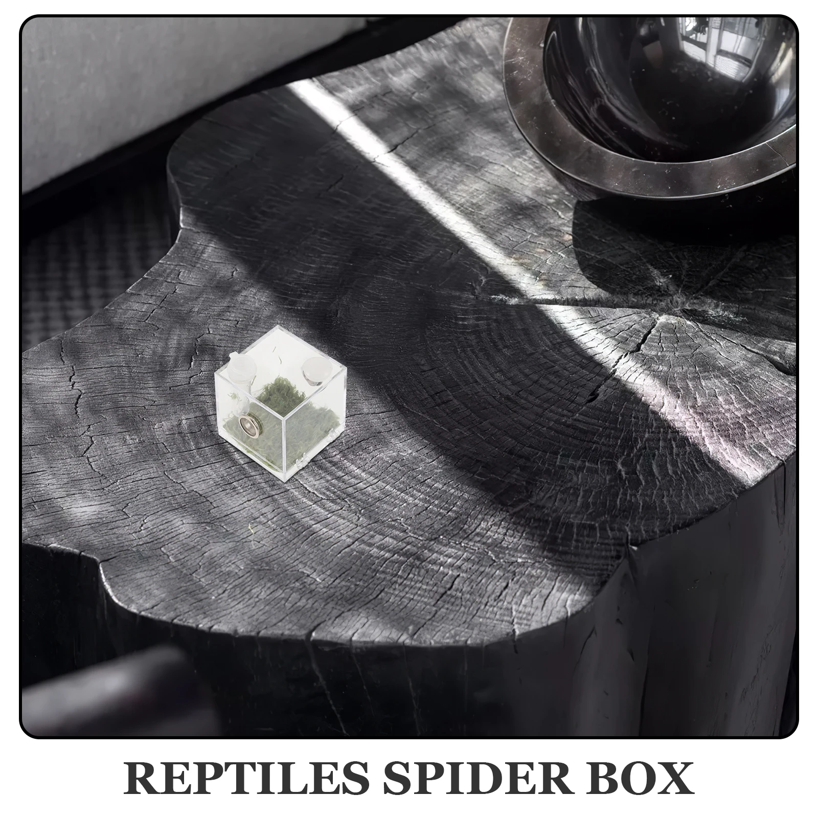 

1 set Acrylic Jumping Spider Breeding Box Reptile Insect Terrarium Habitat Transparent Container Pet Case Small Feeding Box
